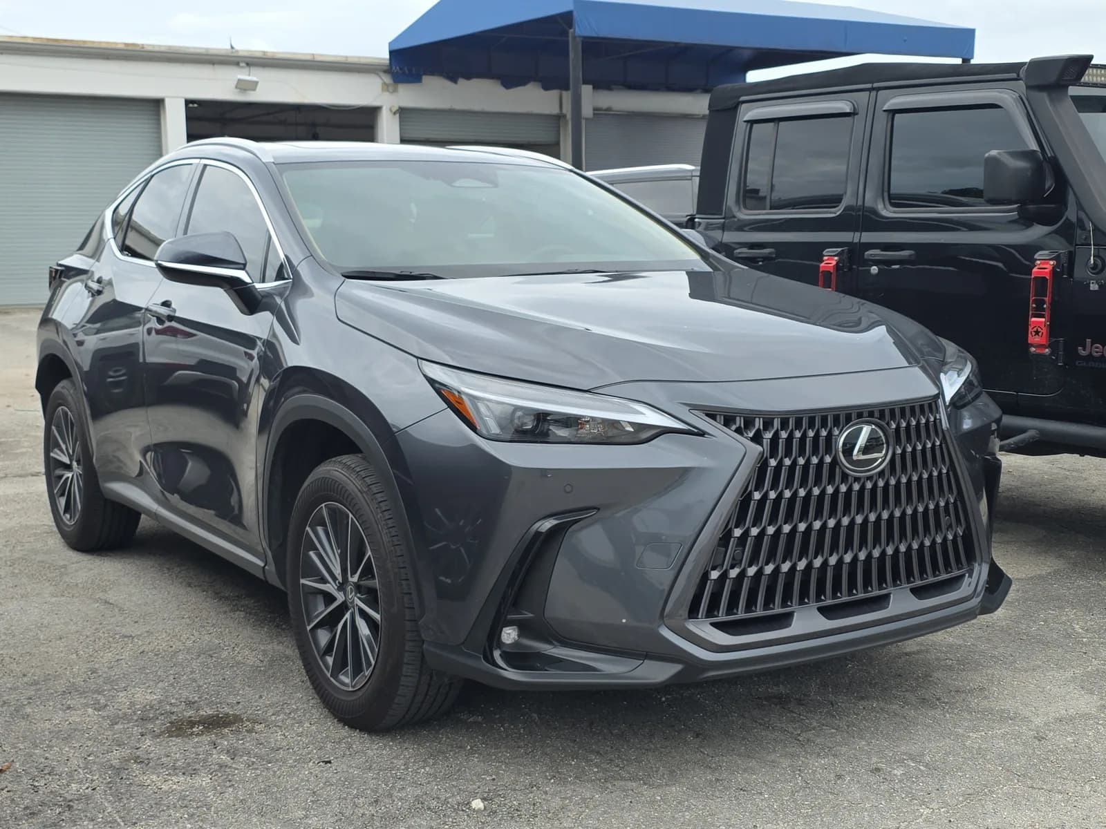2025 Lexus NX NX 250 Premium