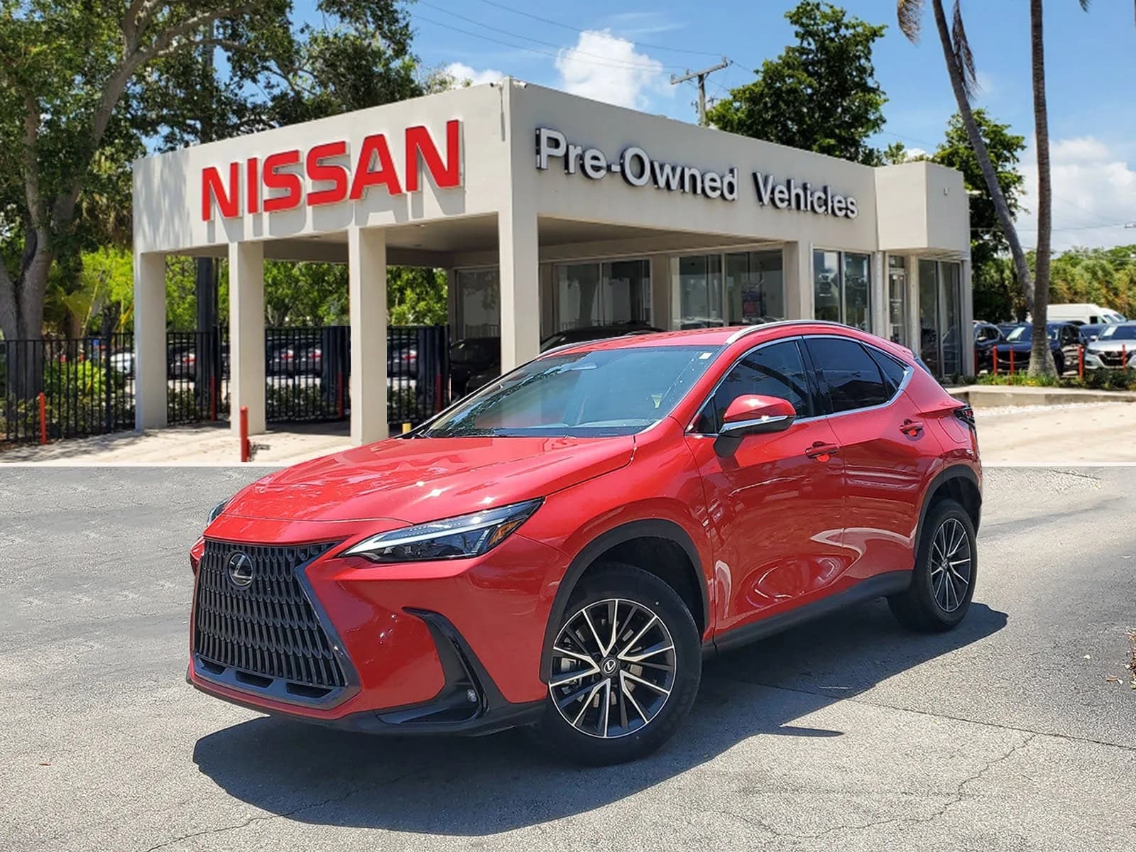 2024 Lexus NX NX 250